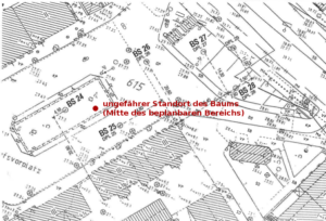 Bodengutachten-Karte mit Baumstandort Bodengutachten-Karte mit Baumstandort