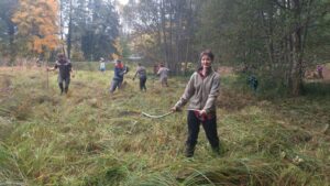 Wiesenmahd 2013