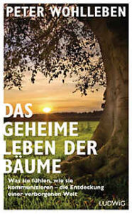 Buchempfehlung „Das geheime Leben der Bäume“
