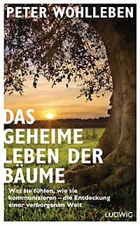 Read more about the article Buchempfehlung „Das geheime Leben der Bäume“