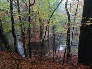 Die ALNUS-Flusstour führte uns zu einem echten Wildfluss
