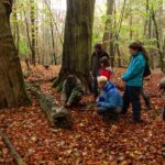 Extensiv genutzter Wald entlang der Gowienica