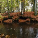 Hohlen, in denen man sich verstecken kann