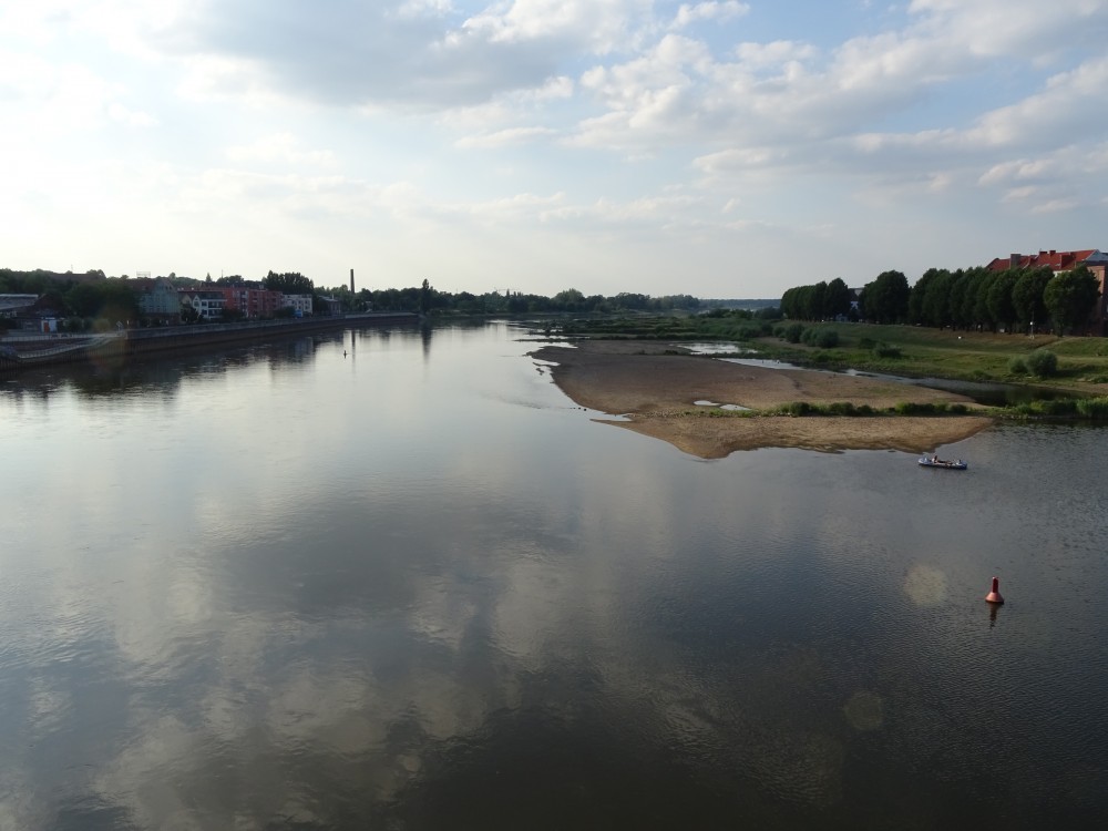 Read more about the article Alnus begleitet Konzept für einen naturverträglichen Hochwasserschutz an der Oder