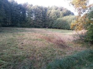 Wiesenmahd Eichwerder, 2018