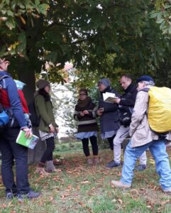 Herbstspaziergang – Früchte der Stadtnatur