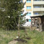 bv garten 2020
