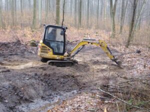 Es werde Moor!