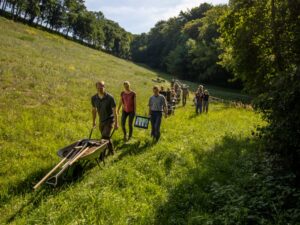 Unsere Moorschutzaktion im Krötenaugenmoor